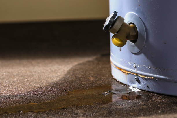Best Water damage restoration near me  in Rock Island, WA