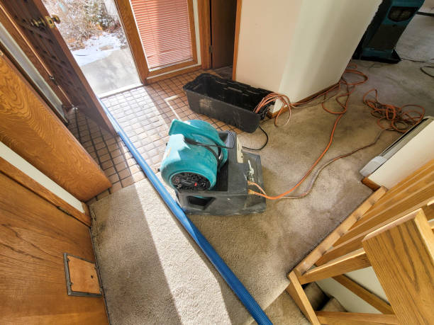 Best Ceiling water damage repair  in Rock Island, WA