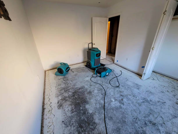 Best Carpet water damage restoration  in Rock Island, WA