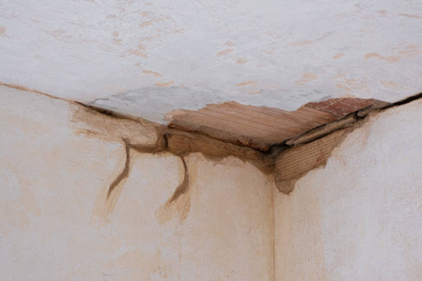 Best Flooded house restoration  in Rock Island, WA