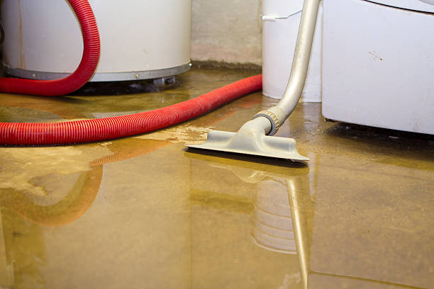 Best Water damage restoration near me  in Rock Island, WA